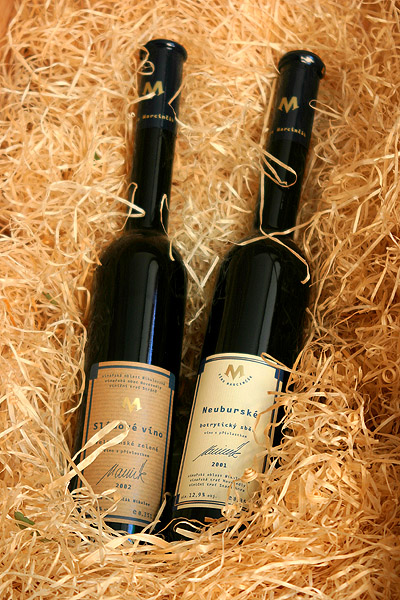winery Marcinčák - organic wine